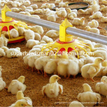 Maquinaria de alimentación avícola para granja de pollos de engorde